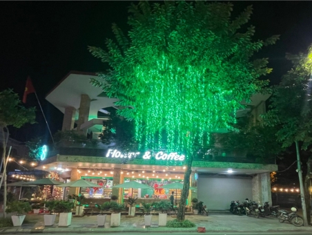QUẢNG CÁO THĂNG LONG HẢI DƯƠNG - THI CÔNG ĐÈN LED QUẤN CÂY - ĐÈN LED TRANG TRÍ ĐA SẮC 