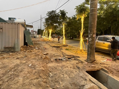 TRANG TRÍ ĐÈN LED QUẤN CÂY Ở HẢI DƯƠNG