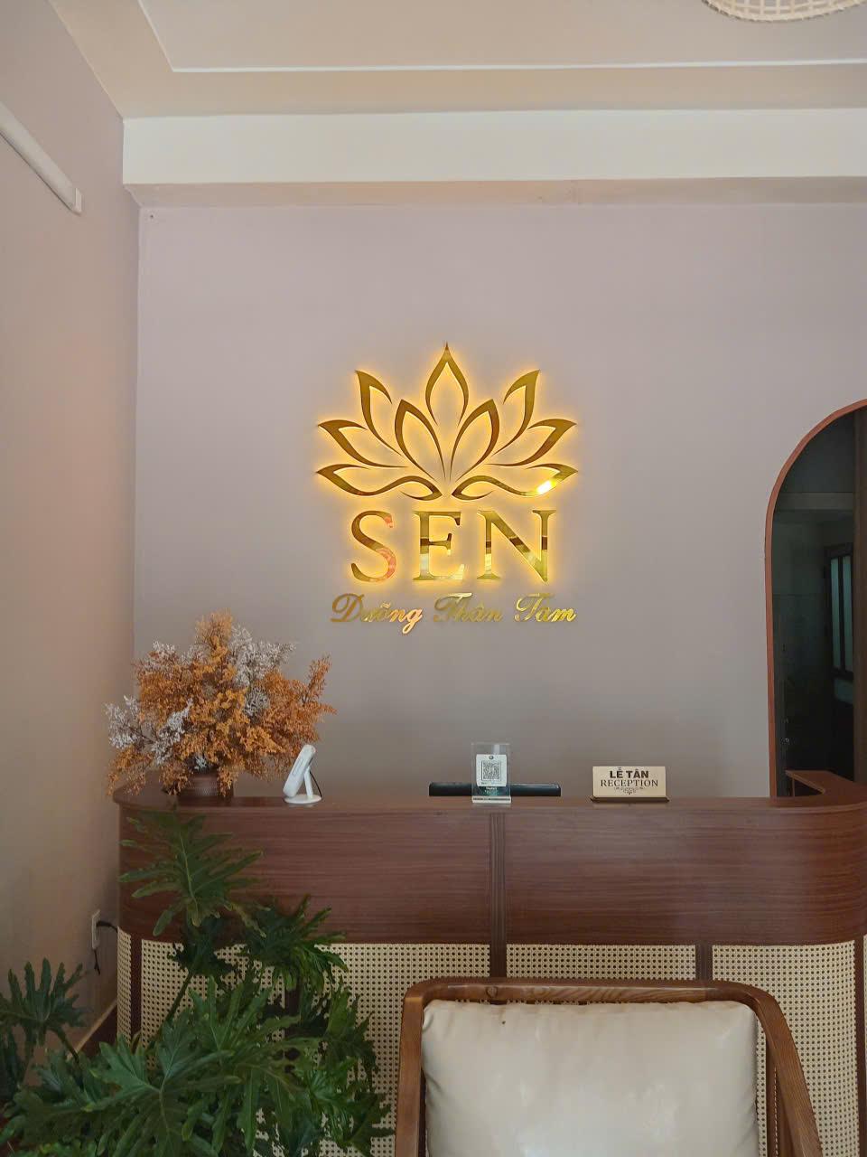 SPA TRỊ LIỆU 