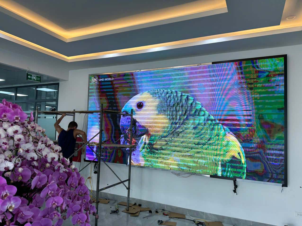 BIỂN LED P5 Ở HẢI DƯƠNG