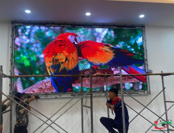 THI CÔNG MÀN HÌNH LED P1.67 TẠI TOÀN TỈNH HẢI DƯƠNG