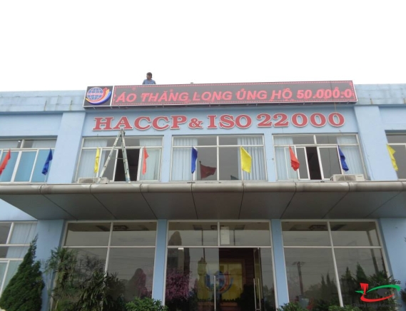 THI CÔNG BIỂN LED P10 MÀU TRẮNG 