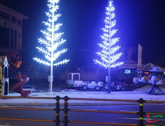 THI CÔNG ĐÈN LED CÂY THÔNG Ở KHU ĐÔ THỊ HẢI DƯƠNG