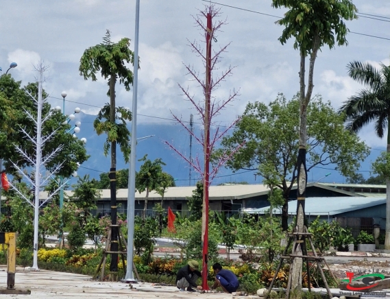 THI CÔNG ĐÈN LED CÂY THÔNG Ở KHU ĐÔ THỊ HẢI DƯƠNG
