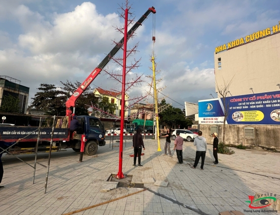 THI CÔNG ĐÈN LED CÂY THÔNG Ở KHU ĐÔ THỊ HẢI DƯƠNG