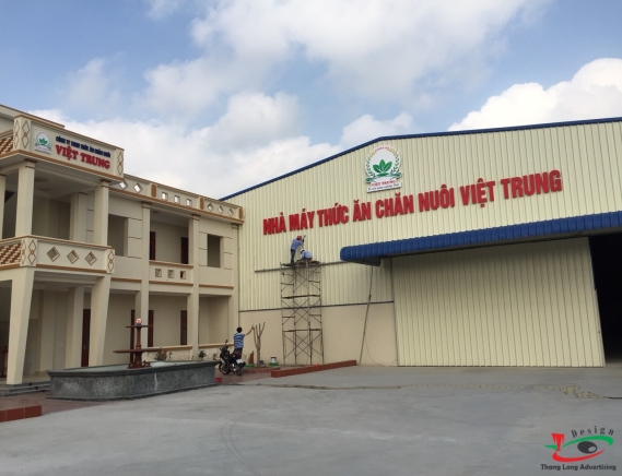 THI CÔNG LẮP ĐẶT LÔ GÔ CÔNG TY TRÊN CAO TẠI HẢI DƯƠNG
