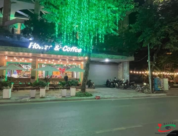 THI CÔNG TRANG TRÍ ĐÈN LED KHU PHỐ