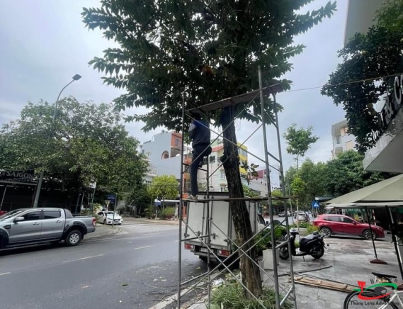 ĐÈN LED QUẤN CÂY TRANG TRÍ CHO NHÀ HÀNG, QUÁN CÀ PHÊ, QUÁN ĂN ẨM THỰC ĐƯỜNG PHỐ