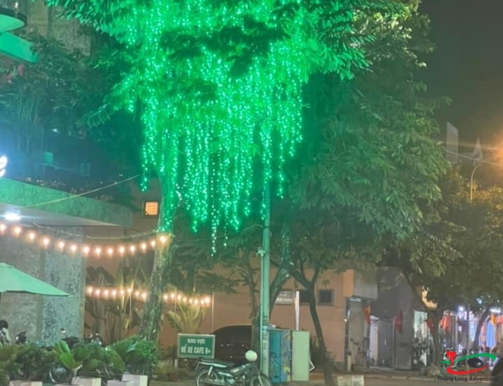 ĐÈN LED TRANG TRÍ CÂY - ĐÈN LED NGOÀI TRỜI CHẤT LƯỢNG CAO