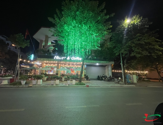 THI CÔNG TRANG TRÍ ĐÈN LED KHU PHỐ