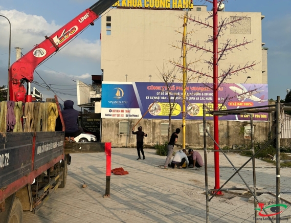 THI CÔNG ĐÈN LED CÂY THÔNG Ở KHU ĐÔ THỊ HẢI DƯƠNG