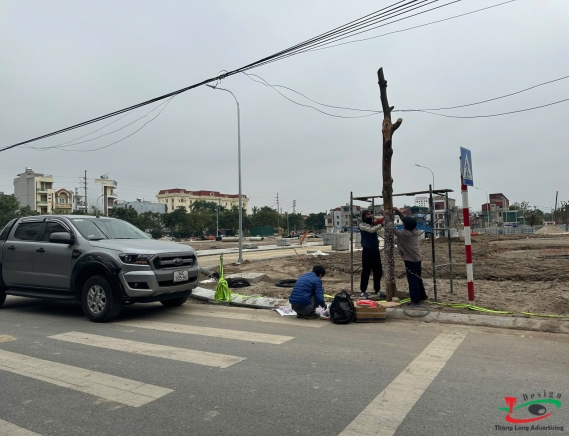 ĐÈN LED QUẤN CÂY TRANG TRÍ CHO NHÀ HÀNG, QUÁN CÀ PHÊ, QUÁN ĂN ẨM THỰC ĐƯỜNG PHỐ