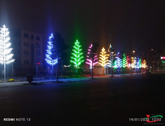THI CÔNG ĐÈN LED CÂY THÔNG Ở KHU ĐÔ THỊ HẢI DƯƠNG