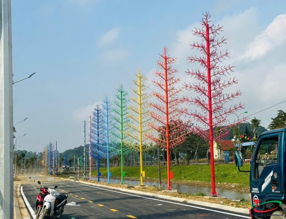 THI CÔNG ĐÈN LED CÂY THÔNG Ở KHU ĐÔ THỊ HẢI DƯƠNG