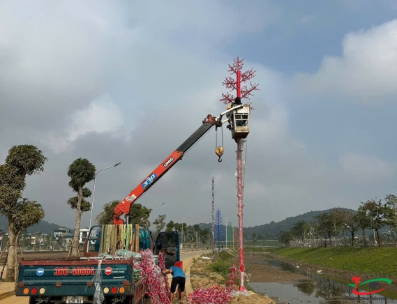 THI CÔNG ĐÈN LED CÂY THÔNG Ở KHU ĐÔ THỊ HẢI DƯƠNG