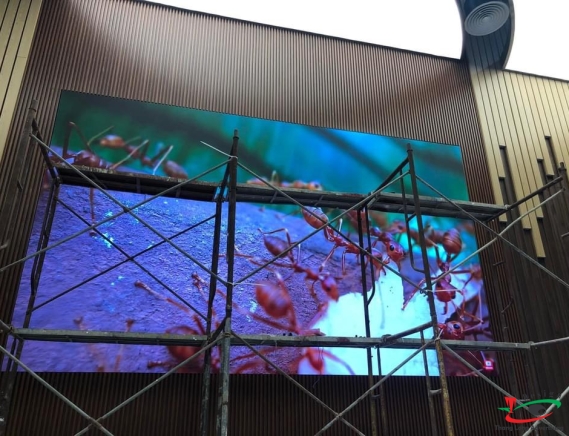 MÀN HÌNH LED HỘI TRƯỜNG