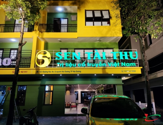 THI CÔNG LẮP BỘ CHỮ SEN TAI THU