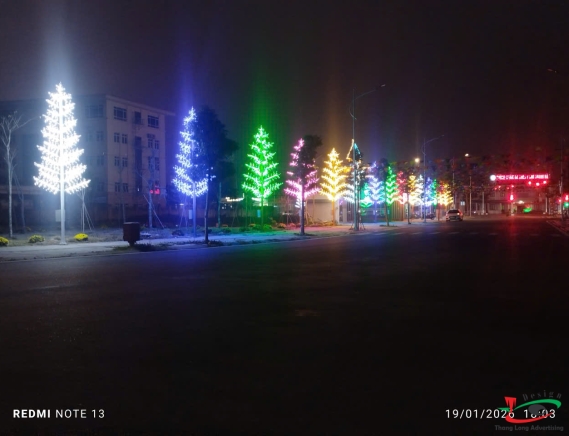CỘT LED CÂY THÔNG CAO 6M 
