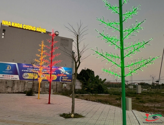 THI CÔNG ĐÈN LED CÂY THÔNG Ở KHU ĐÔ THỊ HẢI DƯƠNG