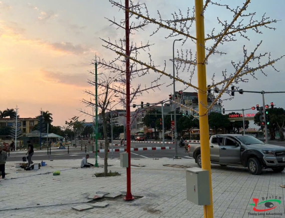 THI CÔNG ĐÈN LED CÂY THÔNG Ở KHU ĐÔ THỊ HẢI DƯƠNG