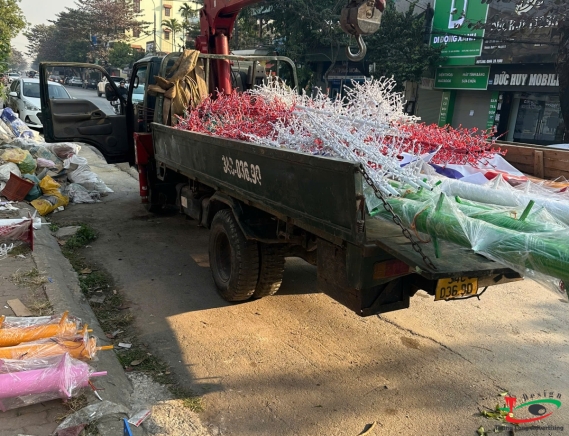 THI CÔNG ĐÈN LED CÂY THÔNG Ở KHU ĐÔ THỊ HẢI DƯƠNG