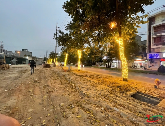 ĐÈN LED QUẤN CÂY TRANG TRÍ CHO NHÀ HÀNG, QUÁN CÀ PHÊ, QUÁN ĂN ẨM THỰC ĐƯỜNG PHỐ