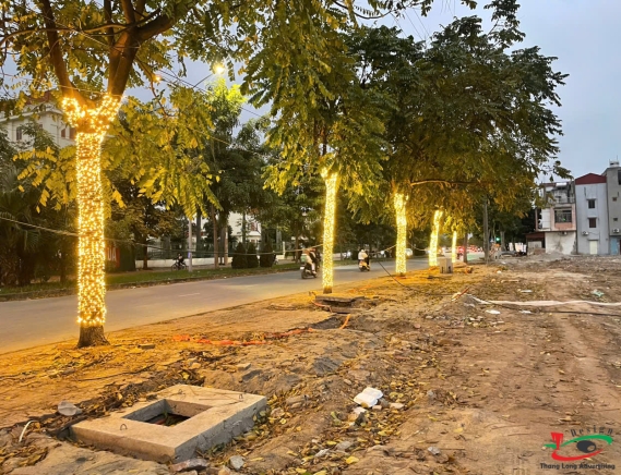 ĐÈN LED QUẤN CÂY TRANG TRÍ CHO NHÀ HÀNG, QUÁN CÀ PHÊ, QUÁN ĂN ẨM THỰC ĐƯỜNG PHỐ